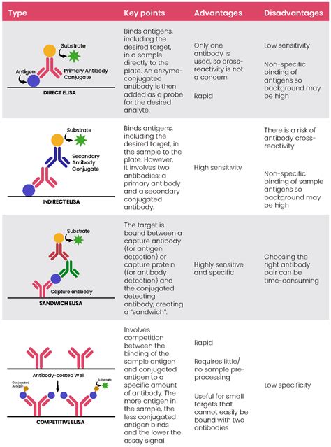 antibodies and elisa kits|antinuclear antibody elisa vs immunoflouorscent.